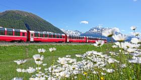 € 48,50 Bus + Bernina Train